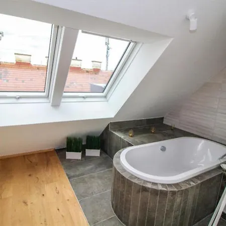 2 Floor Rooftop With Terrace Apartment Wien
