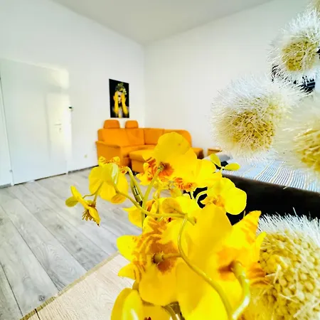 Comfy 3br In A Shared Apt, 10min To Fac Platz Apartment