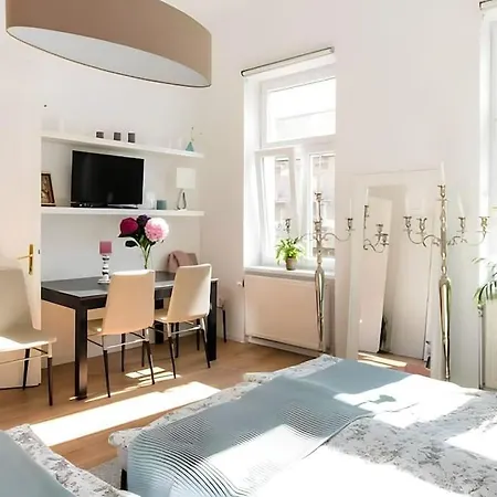 Relocation Or Expats, Only Long Term Stay! 2 Min To U4 Rossauer Laende Apartment *