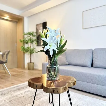 Appartement Inner I Walk To Stephansdom I Designer Flat Vienne