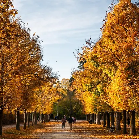Weltwien Luxury Art & Free Parking 4* Vienna