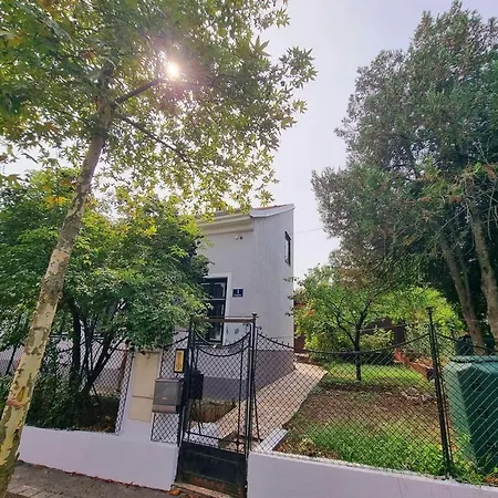Apartment A&m