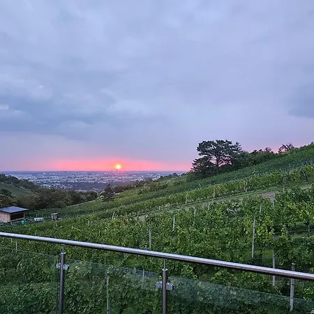 Wine Garden House Holiday home *