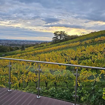 Wine Garden House *