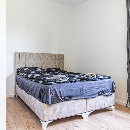 Hostel Comfy In Shared With Terrace And Garden