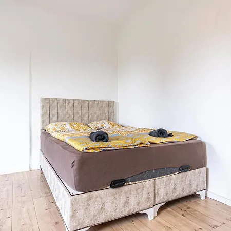 Hostel Comfy In Shared With Terrace And Garden *