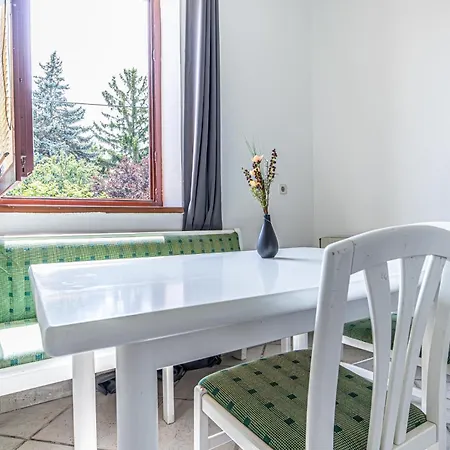 Hostel Comfy In Shared With Terrace And Garden *