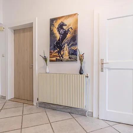 Comfy In Shared With Terrace And Garden Hostel