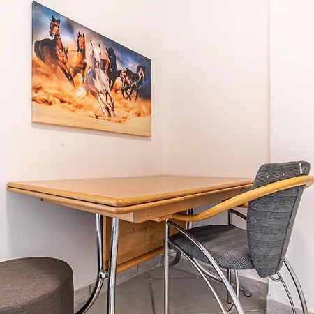 Hostel Comfy In Shared With Terrace And Garden Vienna