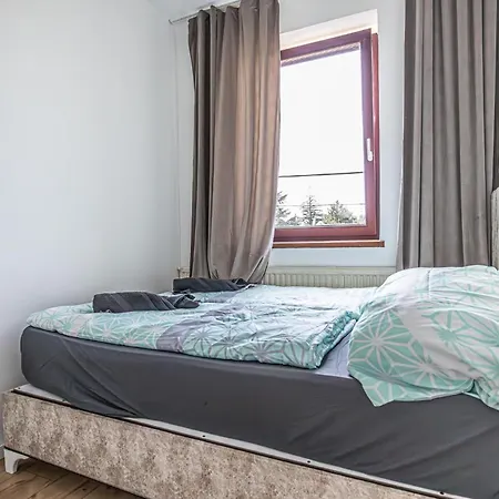 Hostel Comfy In Shared With Terrace And Garden *