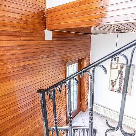 Hostel Comfy In Shared With Terrace And Garden