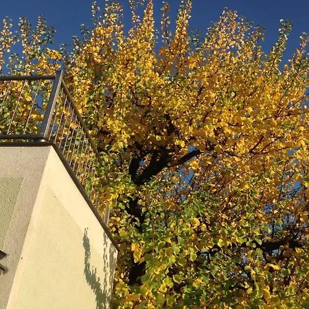 Ajo Garden - Contactless Check-in Vienna