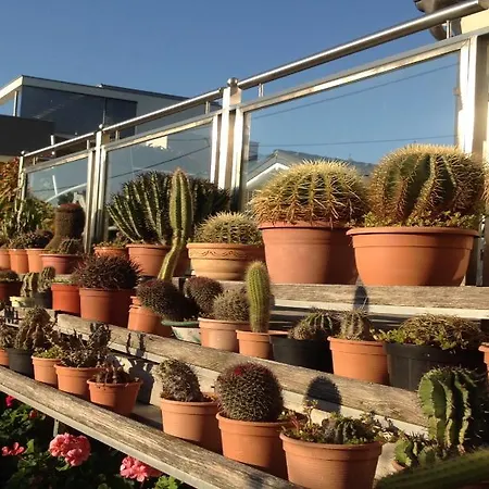 Ajo Garden - Contactless Check-in Apartment