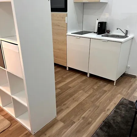 Apartment In 9 Vienna