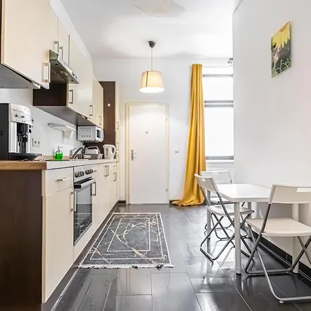 Apartment Near Danube & Millenium Tower - Massive Shared 4br Vienna