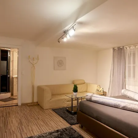 Schoenbrunn Palace Loft With Free Parking 24h Check-in