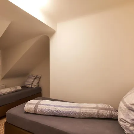 Schoenbrunn Palace Loft With Free Parking 24h Check-in Apartment Vienna