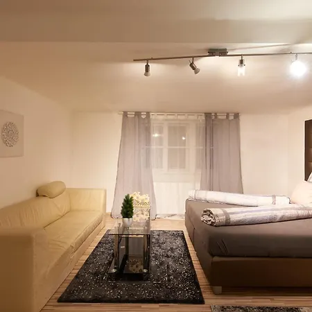 Schoenbrunn Palace Loft With Free Parking 24h Check-in