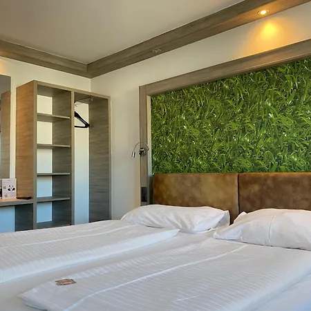 Design & Budget Schoenbrunn Viena