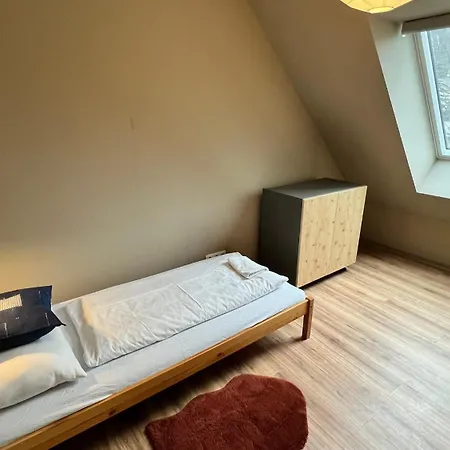 Nest Hostel