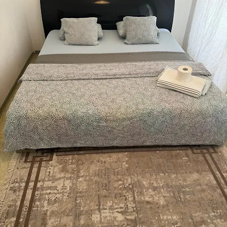Ganzen In 1100 A Apartment