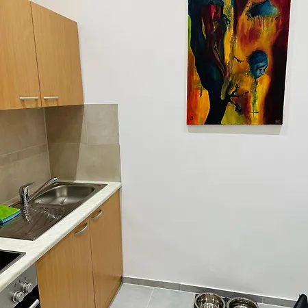 Viki's Galerie Apartment Vienna