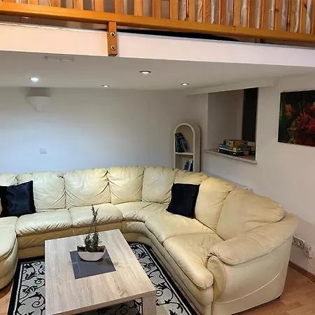 Viki's Galerie Apartment