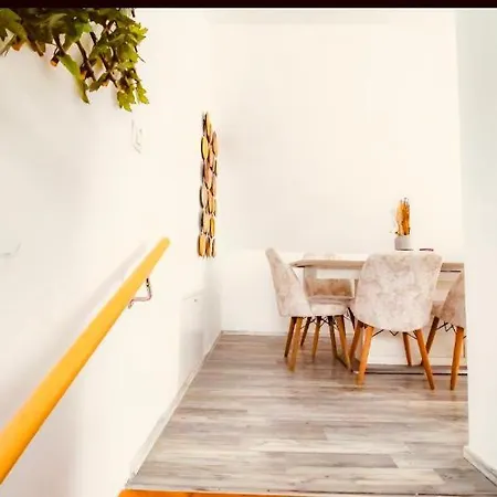 Central 4br Shared With Terrace 10-min Walk To Augarten