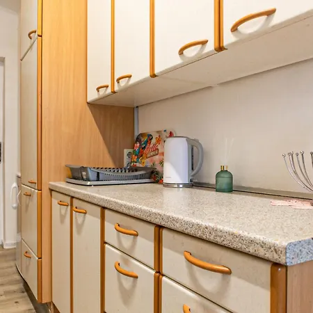 Convenient 3br Near Danube & Millenium Tower Viena