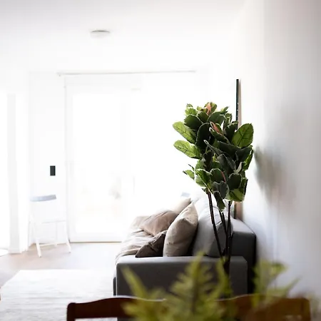 Apartment Stylish Modern With Terrace & Free Parking