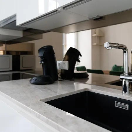 Ultra Spacious 3-bedroom 3-bath Steps From Vienna's Historic Heart Apartment Vienna