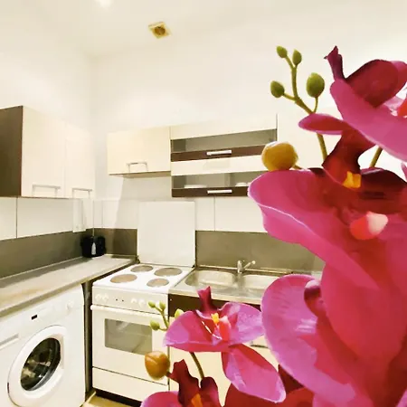 Family Studio- 7 Minutes To Schoenbrunn Palace