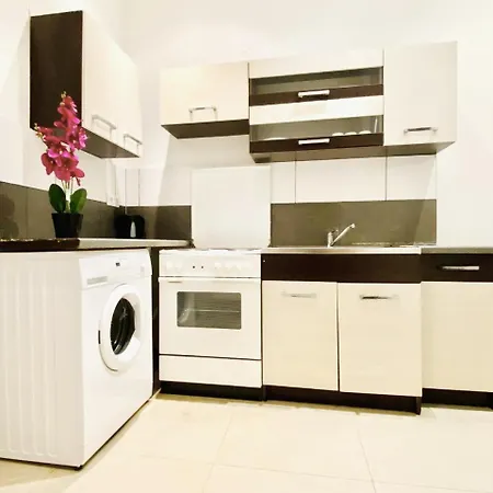 Family Studio- 7 Minutes To Schoenbrunn Palace Apartment Vienna