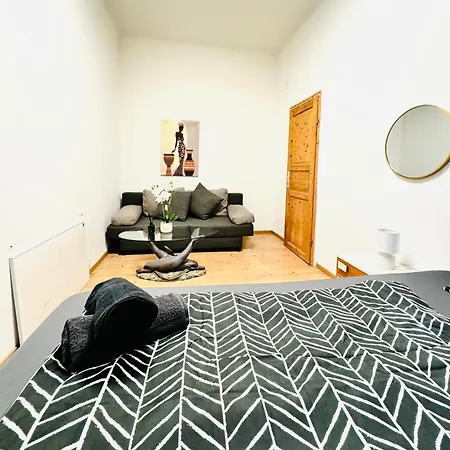 Amazing 4br Shared 10 Minute Walk To Fac Platz Apartment *