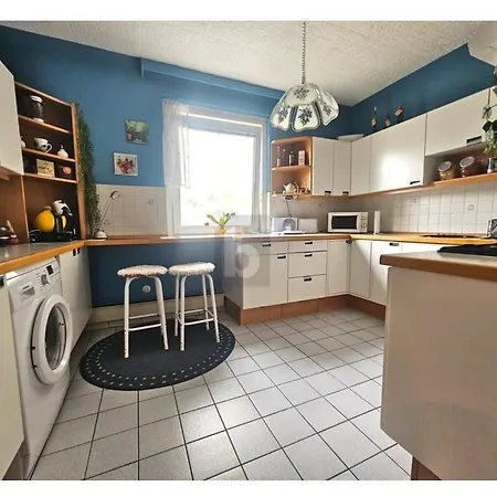Apartment Single In Student Vienna