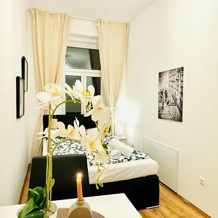 Charming 5br Shared Apt, Minutes From Atzgersdorf Apartment