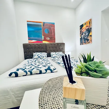Apartment Convenient 4br Shared For 11p, 10 Min To Atzgersdorf