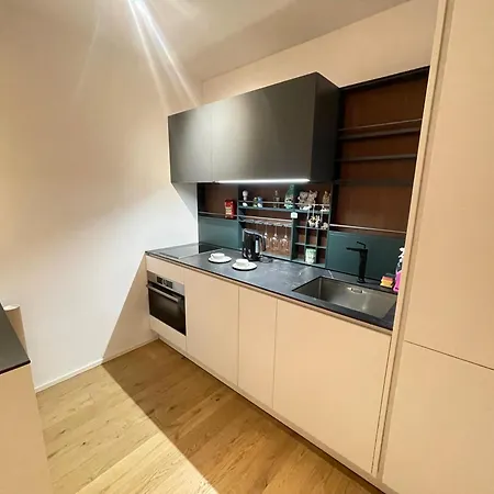 1-bedroom Luxury In The Heart Of With Kitchen And Parking Vienna