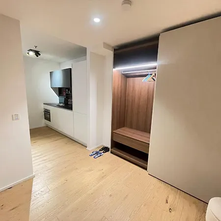 1-bedroom Luxury In The Heart Of With Kitchen And Parking Apartment Vienna