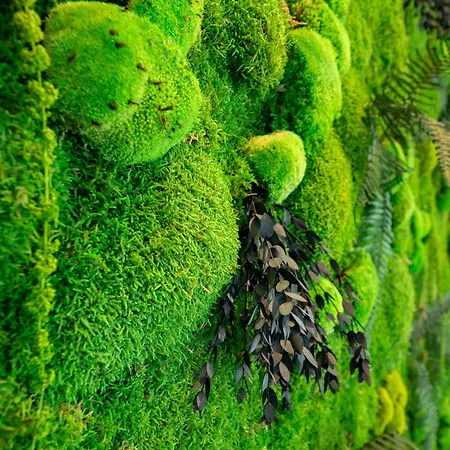 Somerset Schoenbrunn