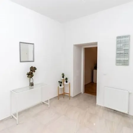 Apartment Premium Deluxe In The Center