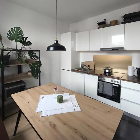 Chic In Vienna's Heart Apartment Vienna