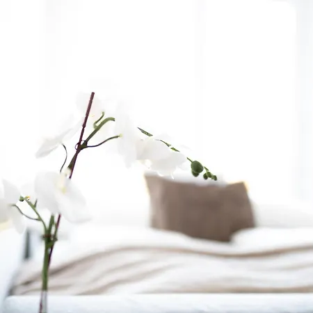 Premium Design With Balcony & Free Parking Apartment Vienna