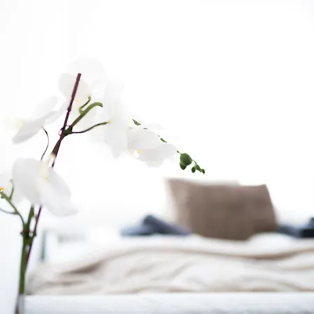 Premium Design With Balcony & Free Parking Vienna