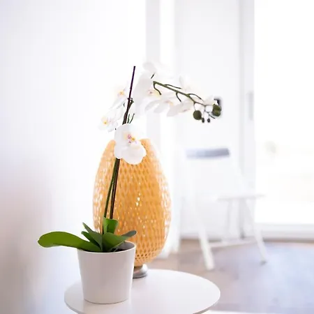 Premium Design With Balcony & Free Parking Vienna