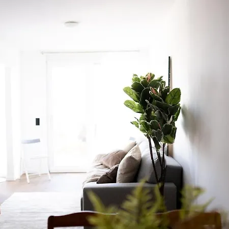 Premium Design With Balcony & Free Parking Apartment