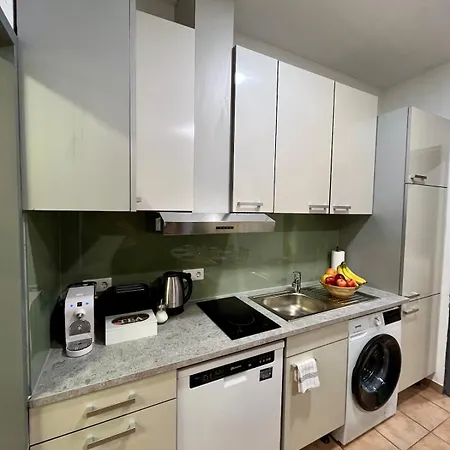 Spacious In Center Vienna