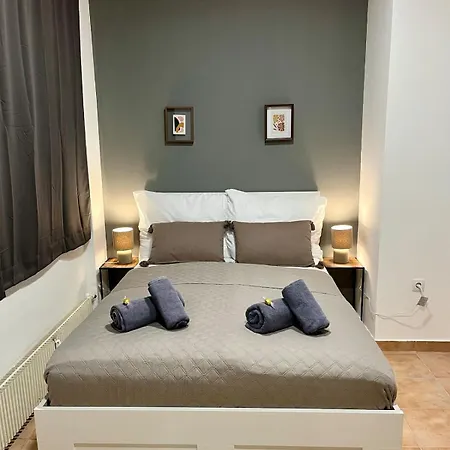 Apartment Spacious In Center *