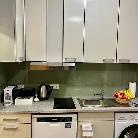 Spacious In Center Apartment *