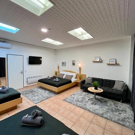 Spacious In Center Apartment Vienna